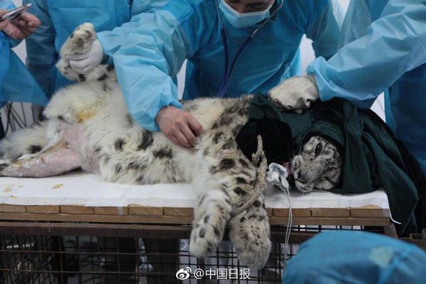 笔趣阁手机版：优质小说阅读软件，类型全且可自由查找