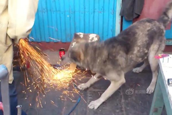 网络文学爱好者必读!新笔趣阁现状及使用建议大揭秘?