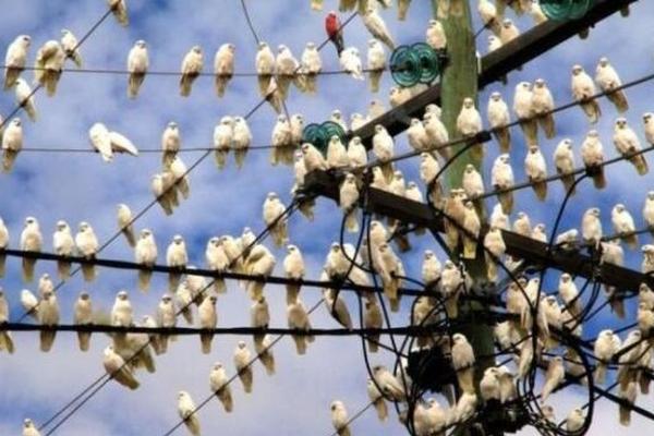 同人：约会大作战datealive ex章节（3） ast存亡战 第一节