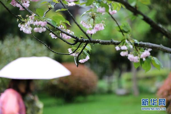 免费在线可阅读漫画成首选，却面临凯发k8国际首页登录的版权等难题待剖析？