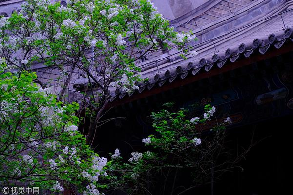 弱点漫画在线观看