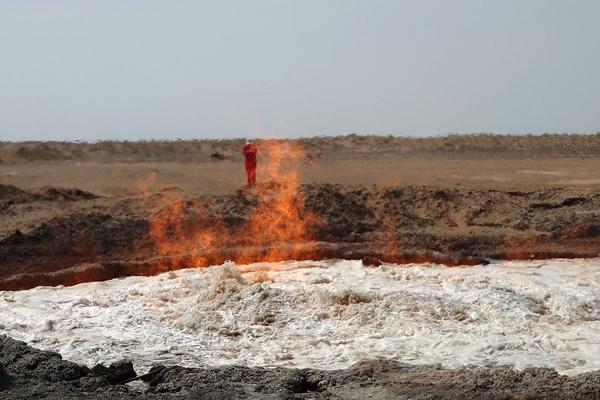 《海贼王第890集》在线观看