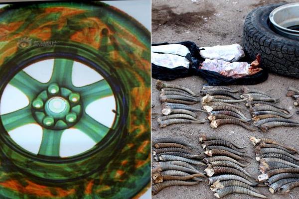 数字阅读普及下，韩漫免费观看的凯发k8国际首页登录的版权风险与安全提示