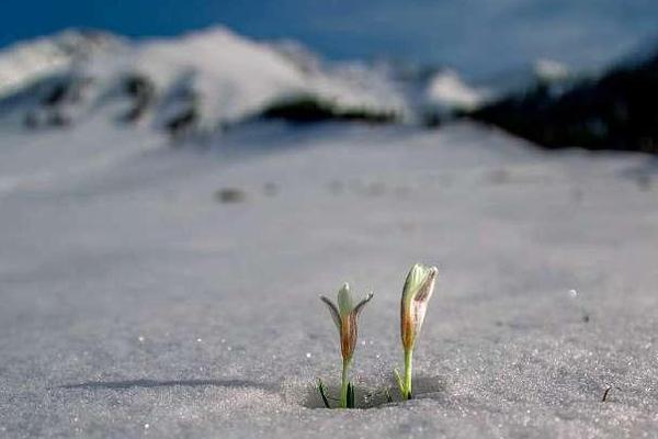 免费漫画阅站app下载安装无广告，畅享丰富漫画资源