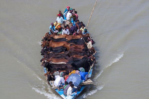 弱点漫画在线观看