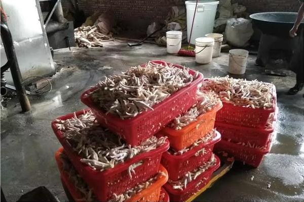 备受关注的死神230模型，设计与工艺究竟有多出色？