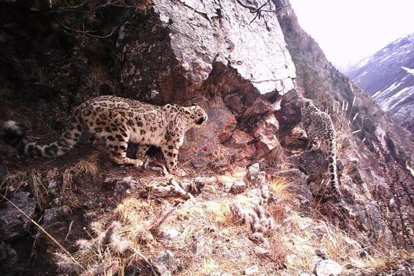 网络文学爱好者必读！新笔趣阁现状及使用建议大揭秘？