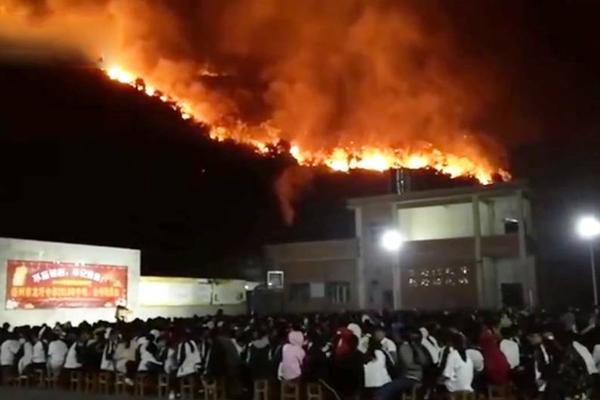 《海贼王第890集》在线观看