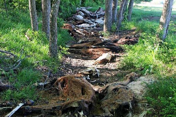 备受关注的死神230模型，设计与工艺究竟有多出色？