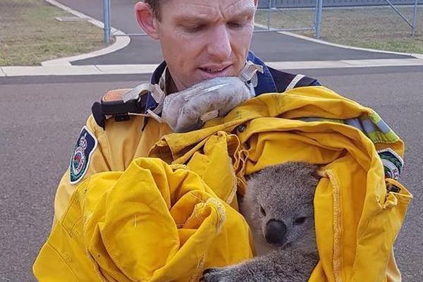 免费漫画阅站官方正版：无广告弹窗，全网漫画免费看