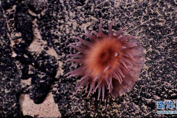 阅站漫画app最新版：免费搜索全网漫画，畅享多种便捷阅读体验