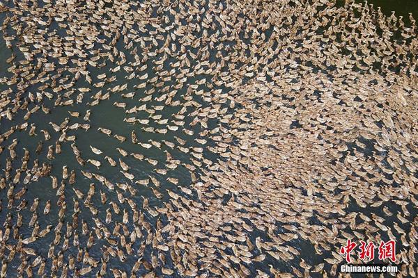影视作品中万人迷反派为何更吸睛？如何塑造有魅力反派？
