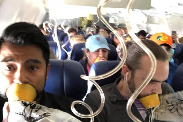 《海贼王第890集》在线观看