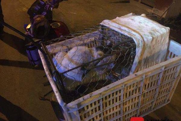 备受关注的死神230模型，设计与工艺究竟有多出色？