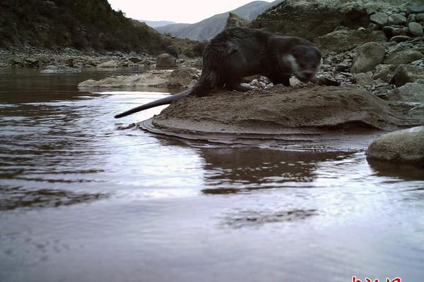 阅站漫画：资源丰富更新快，免费福利多，阅读体验超棒