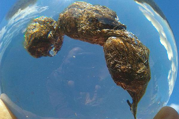 数字阅读普及下,韩漫免费观看的凯发k8国际首页登录的版权风险与安全提示