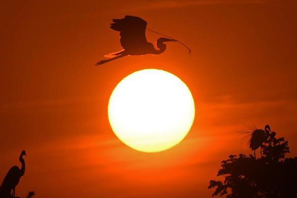 蓝色监狱第一季