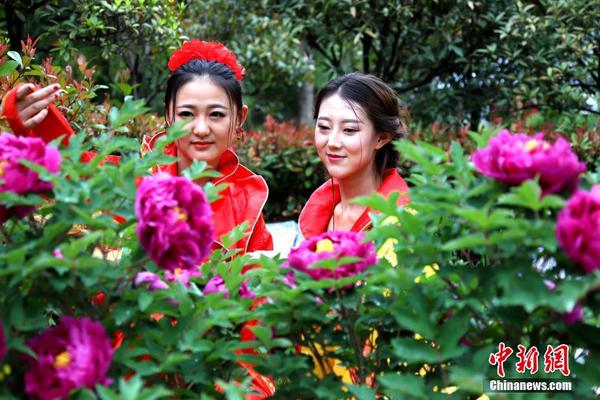 网络文学爱好者必读！新笔趣阁现状及使用建议大揭秘？