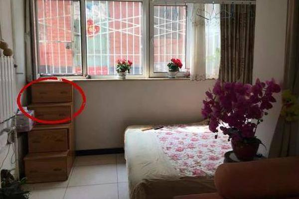 斗破苍穹老粉必看！正版免费观看渠道及支持正版的意义