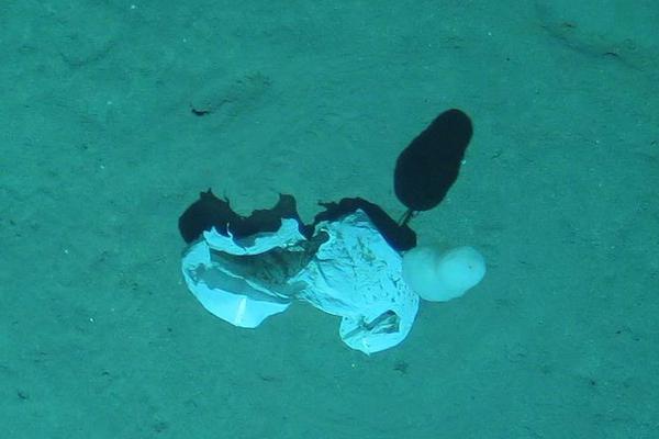 异世界搞笑冒险番为何吸引人？独特设定与反差角色是关键