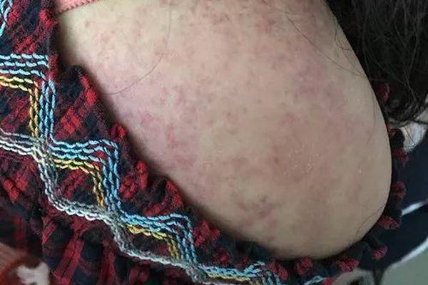 异世界搞笑冒险番为何吸引人？独特设定与反差角色是关键