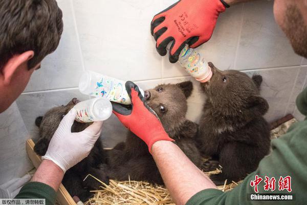 缘之空借兄妹情纠葛引发思索，为何对兄妹恋情描绘引争议？