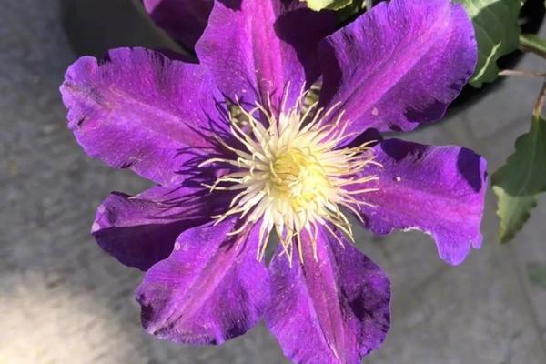 哔哩哔哩隐藏内容怎么找？特殊标签与搜索技巧是关键