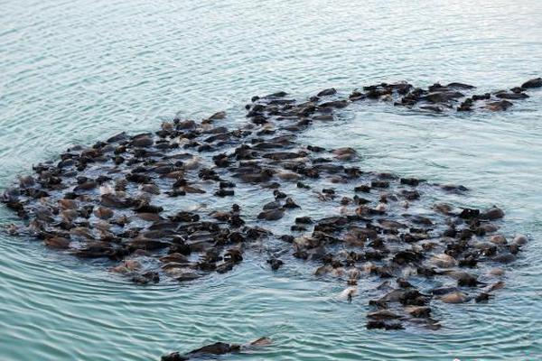 放学后的医务室