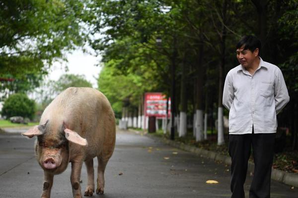 缘之空借兄妹情纠葛引发思索，为何对兄妹恋情描绘引争议？