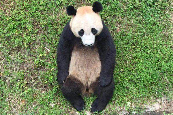 《海贼王第890集》在线观看