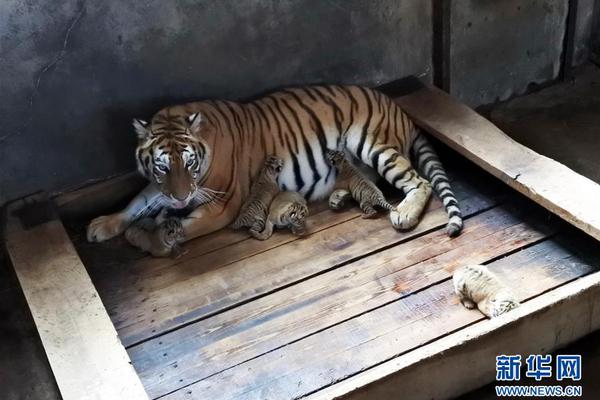 缘之空借兄妹情纠葛引发思索，为何对兄妹恋情描绘引争议？