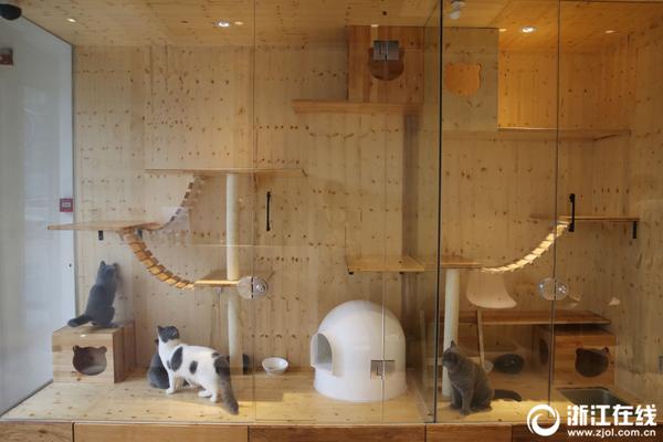 霸凤传说漫画下拉免费观看