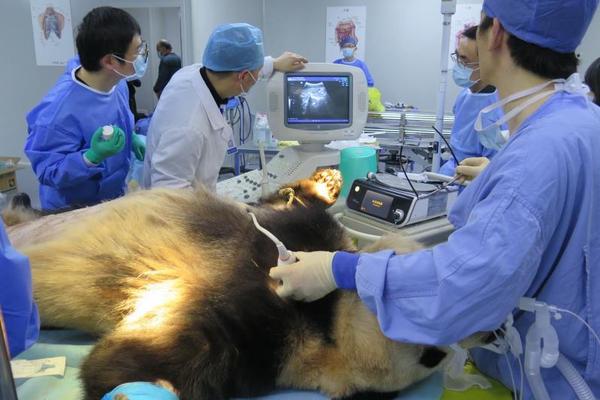 影视作品中万人迷反派为何更吸睛？如何塑造有魅力反派？