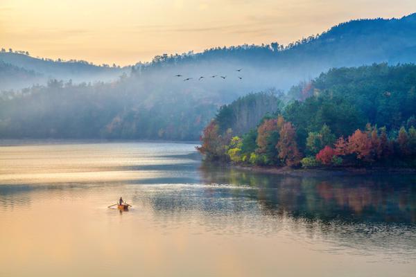 免费在线可阅读漫画成首选，却面临凯发k8国际首页登录的版权等难题待剖析？