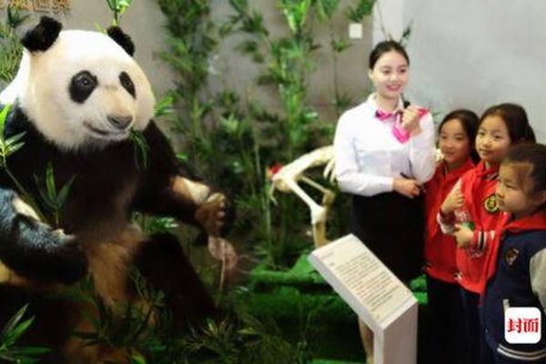 哔哩哔哩隐藏内容怎么找？特殊标签与搜索技巧是关键