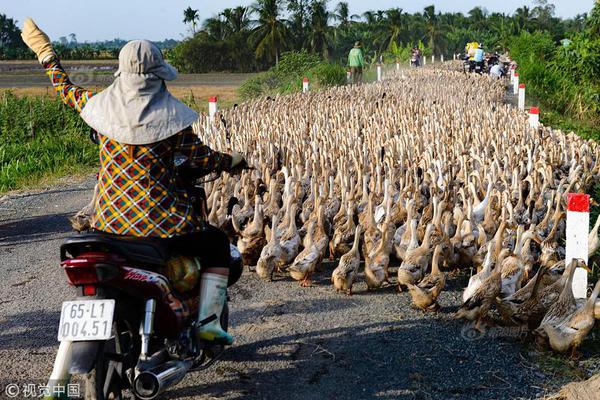 免费漫画阅站app下载安装无广告,畅享丰富漫画资源