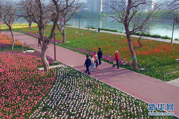 免费看电视剧的网站下载安装