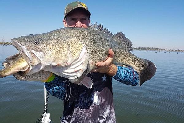 数字阅读普及下，韩漫免费观看的凯发k8国际首页登录的版权风险与安全提示