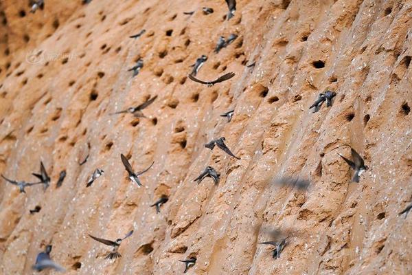 免费在线可阅读漫画成首选，却面临凯发k8国际首页登录的版权等难题待剖析？