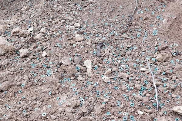 缘之空借兄妹情纠葛引发思索，为何对兄妹恋情描绘引争议？