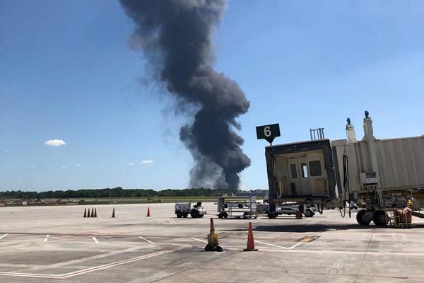 《海贼王第890集》在线观看