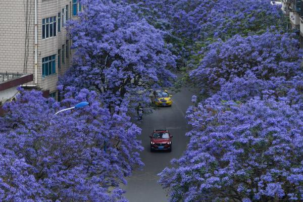 弱点漫画在线观看