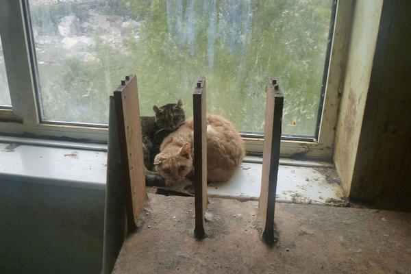 六宫风华漫画看国漫