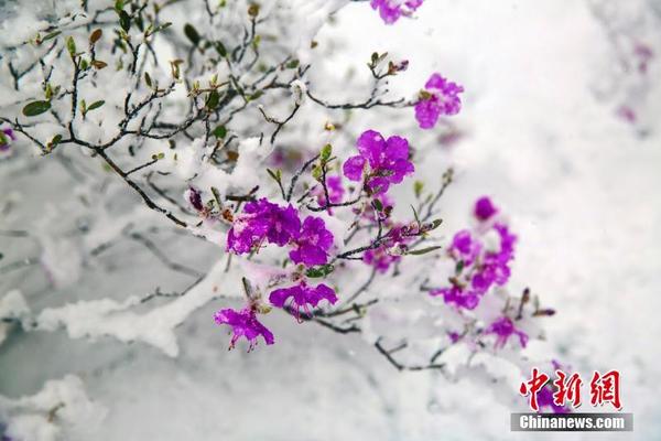 免费漫画阅站app下载安装无广告，畅享丰富漫画资源