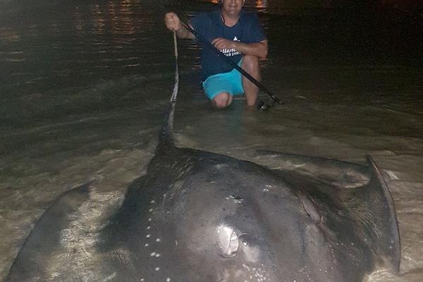 风起苍岚漫画完结了吗