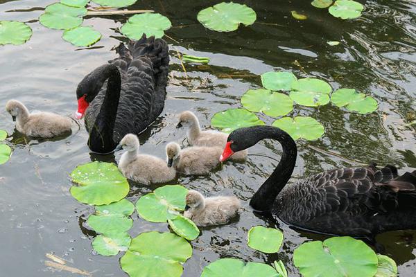 弱点漫画在线观看