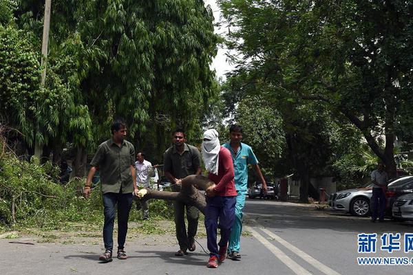 斗二绝世唐门免费观看