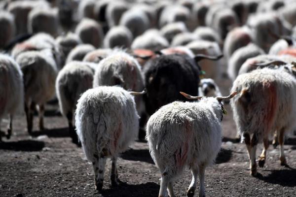 哔哩哔哩隐藏内容怎么找？特殊标签与搜索技巧是关键