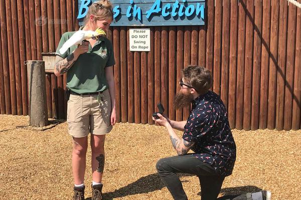 斗魂大陆漫画完整版