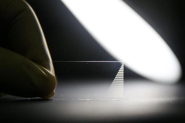 免费漫画阅站官方正版：无广告弹窗，全网漫画免费看